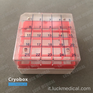 1,8 ml di criotube scatola 25 posto